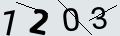 verifycode